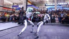 上海人工智能尝试室从伯文指出